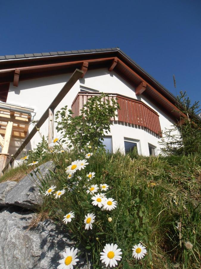 Arlalpin Lejlighed Pettneu am Arlberg Eksteriør billede